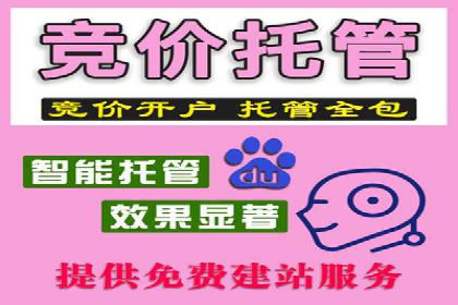 SEM竞价托管实战技巧：案例分析
